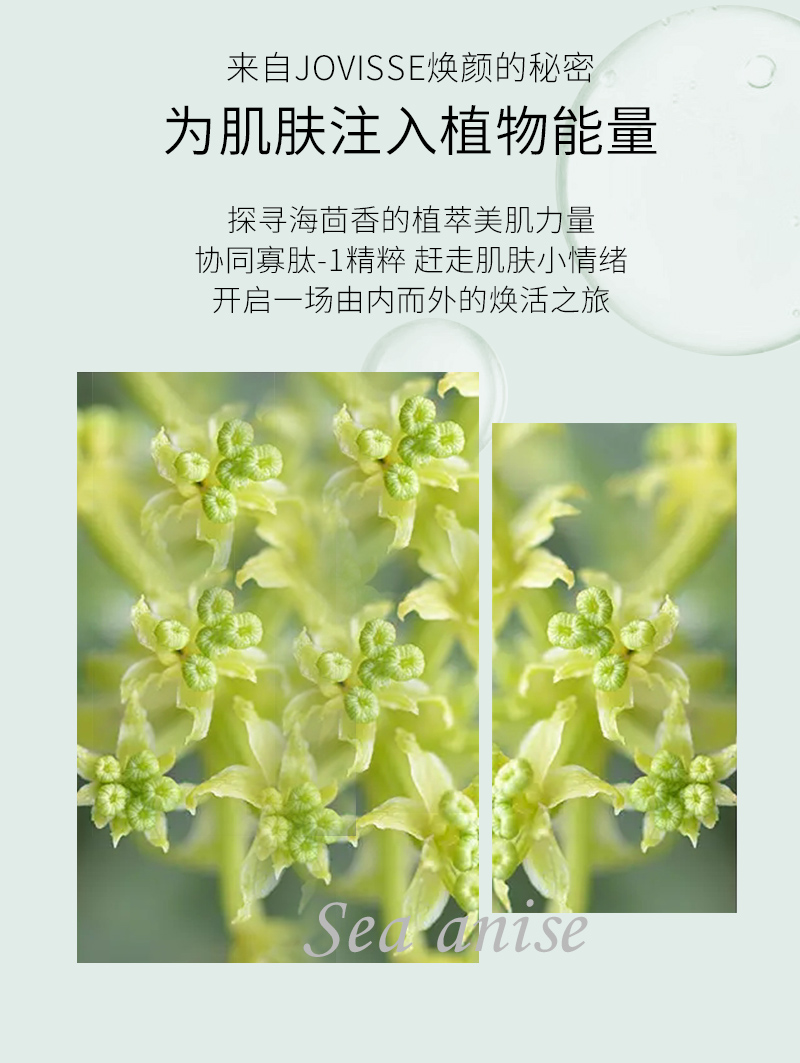 海茴香焕颜冻干粉套-详情_03.jpg